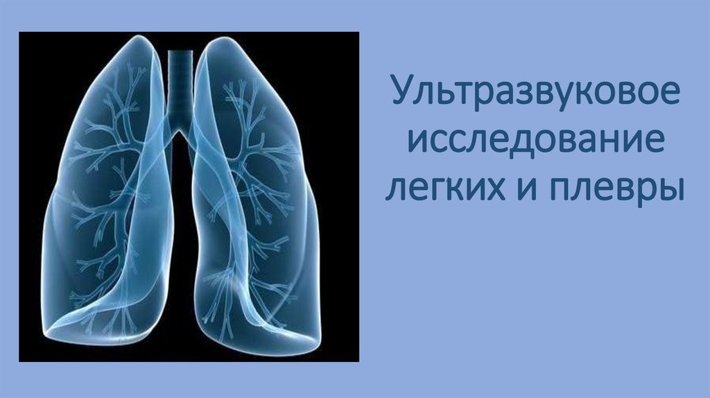 УЗИ плевральной полости: как делают?