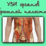 Что включает УЗИ органов брюшной полости